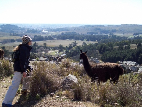 Reserva natural - Sierra del Tigre