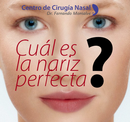 cual es la nariz perfecta